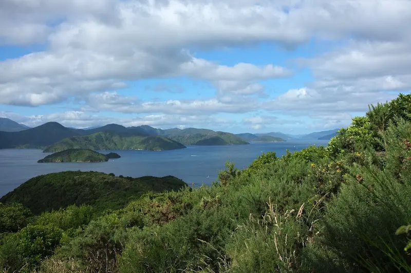 Picton – Foto 4