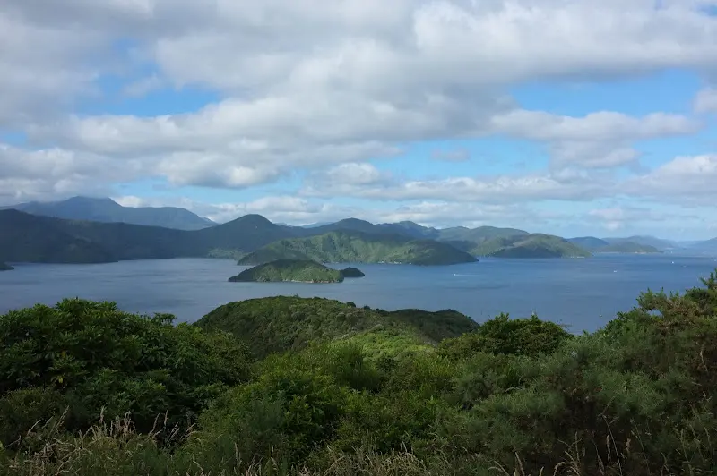 Picton – Foto 5