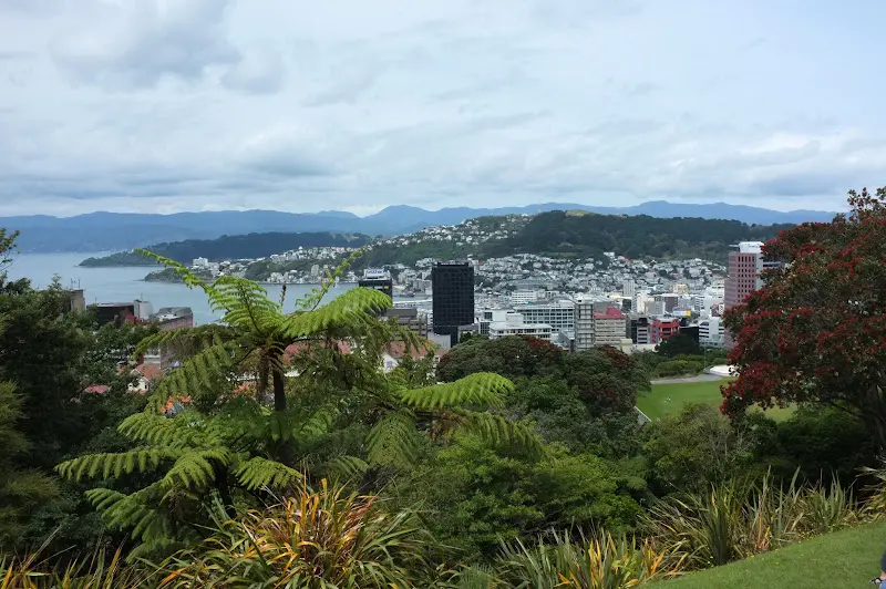 Wellington – Foto 7