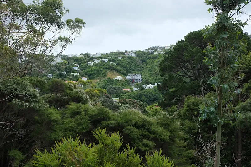 Wellington – Foto 8