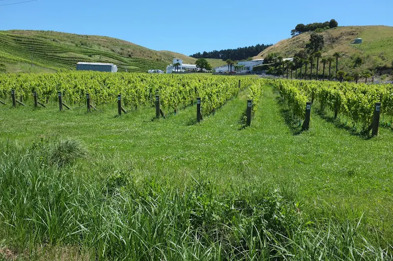Napier – Foto 5