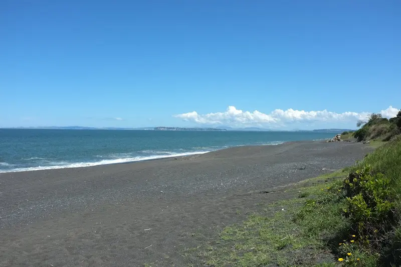 Napier – Foto 6