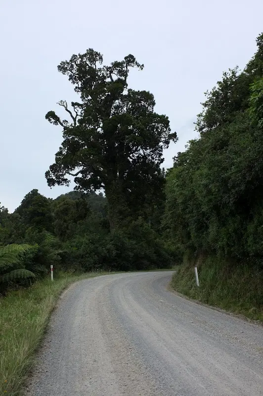 Lake Waikaremoana – Foto 12