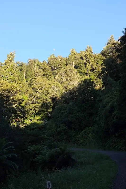 Lake Waikaremoana – Foto 13