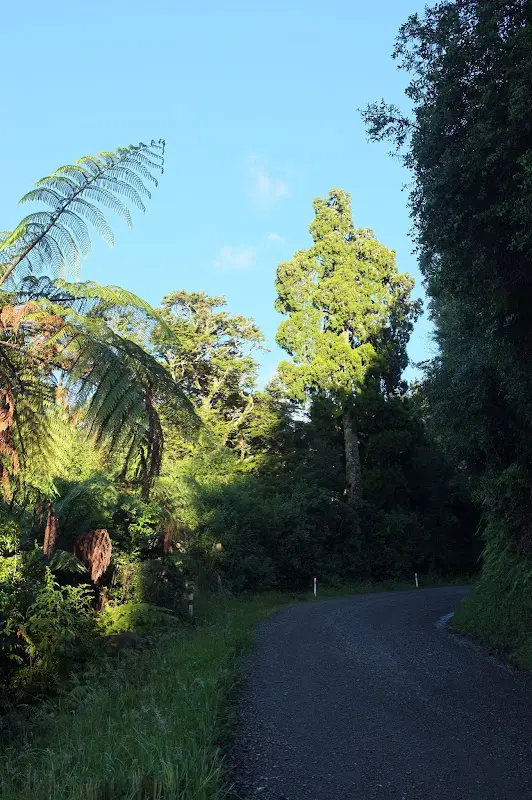 Lake Waikaremoana – Foto 18