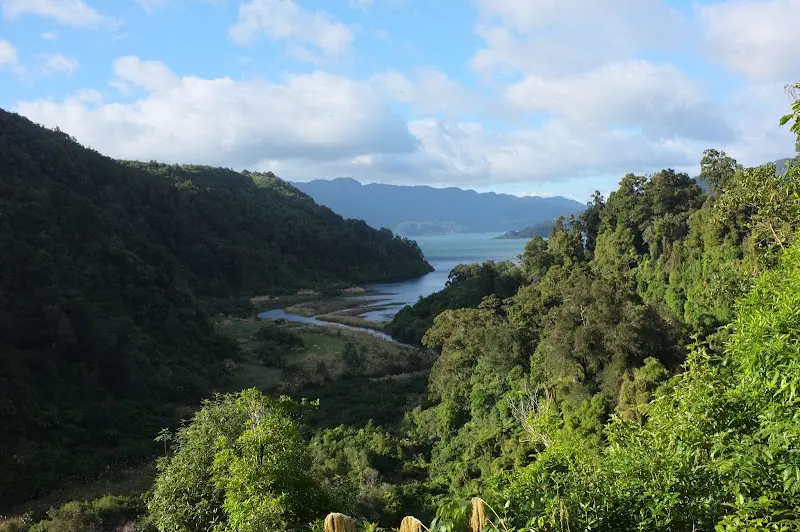Lake Waikaremoana – Foto 20