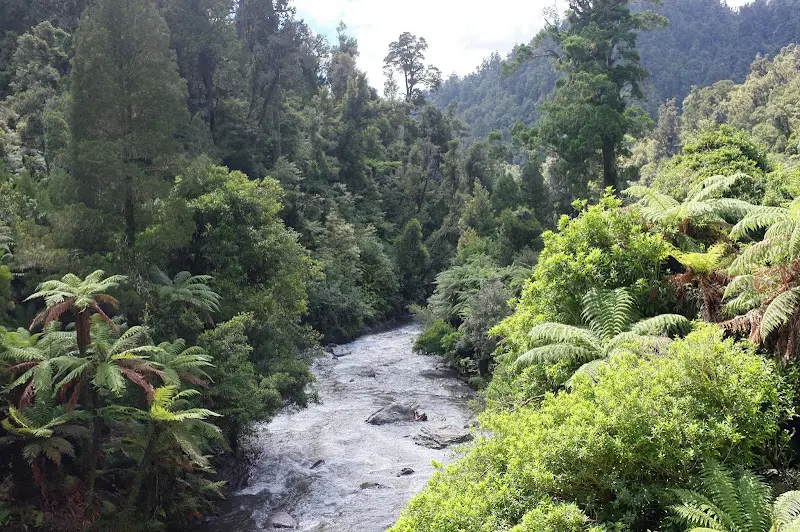 Lake Waikaremoana – Foto 23