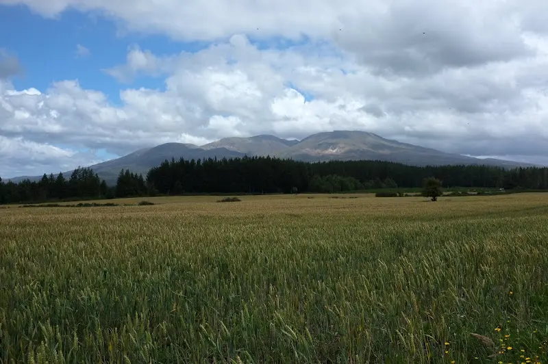 Taupo – Foto 10