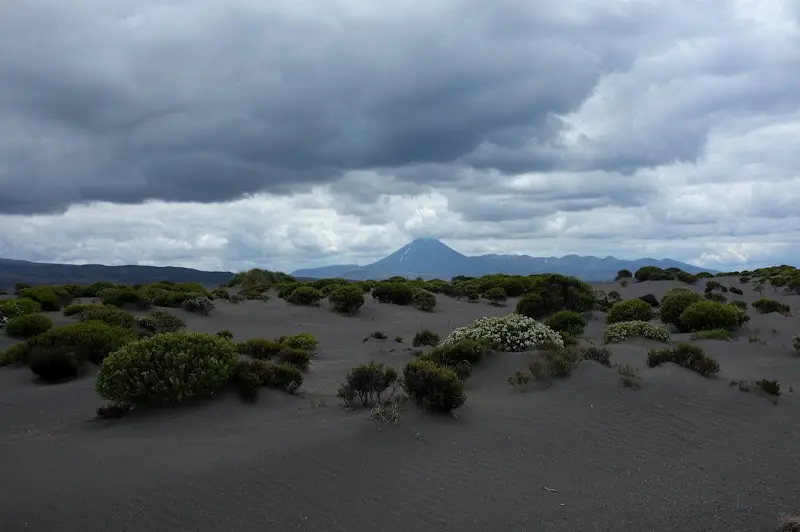 Tongariro NP – Foto 7