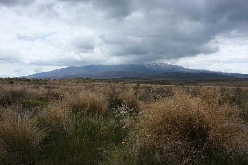 Tongariro NP – Foto 8
