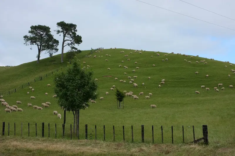 Hobbiton – Foto 2