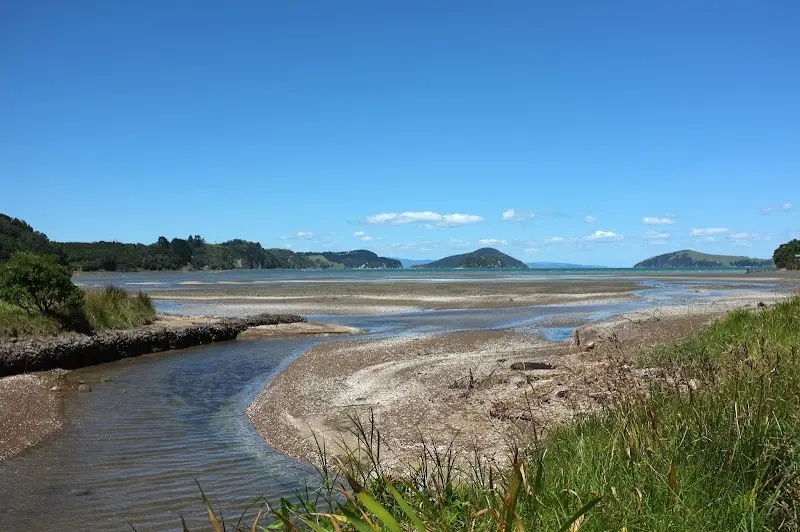 Coromandel – Foto 5