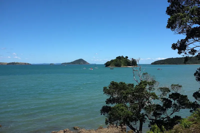 Coromandel – Foto 6