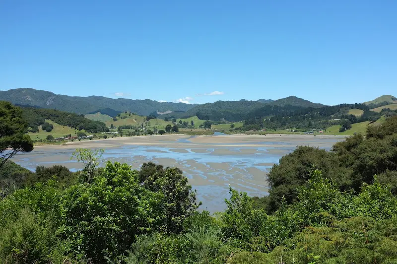Coromandel – Foto 10