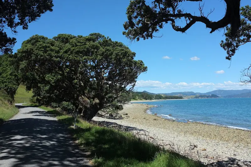 Coromandel – Foto 12