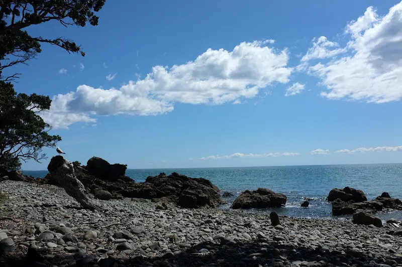 Coromandel – Foto 13