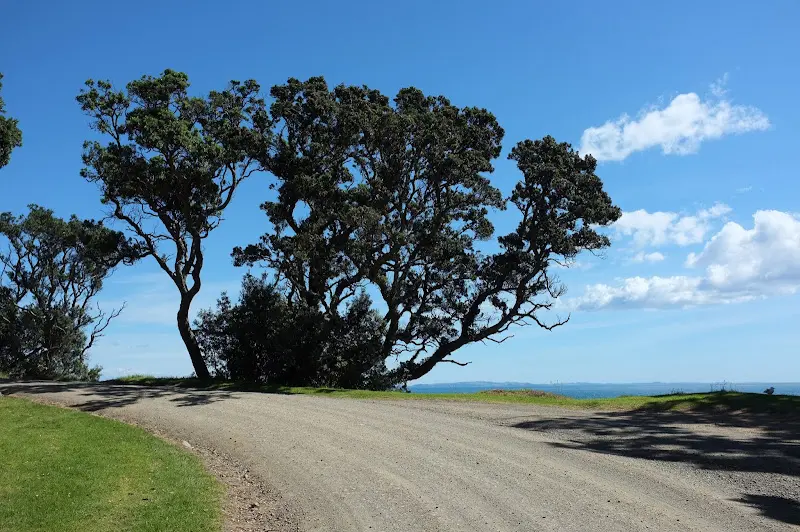Coromandel – Foto 14