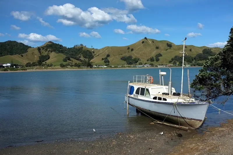 Coromandel – Foto 18