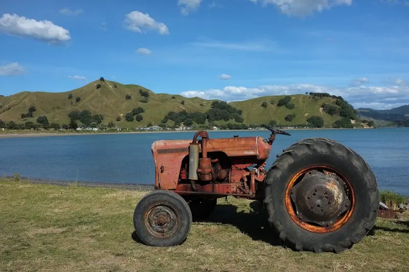 Coromandel – Foto 19