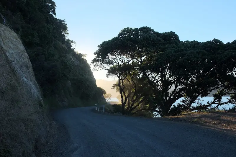 Coromandel – Foto 22