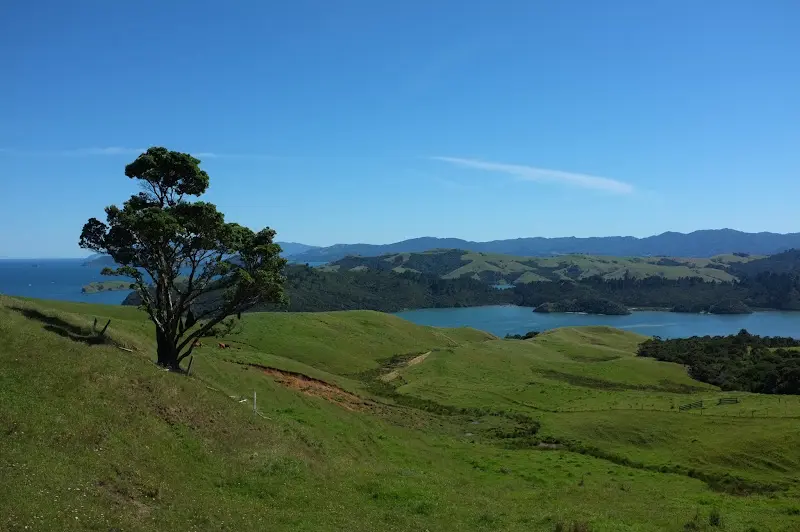 Coromandel – Foto 23