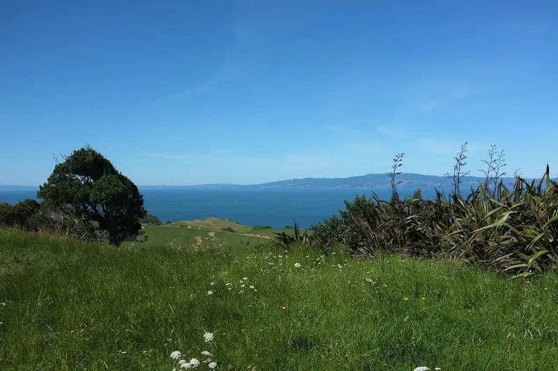 Coromandel – Foto 24
