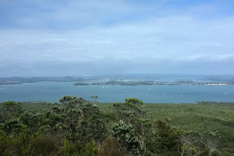 Auckland – Foto 10