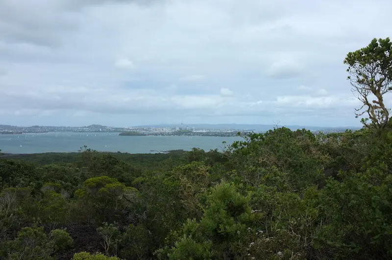 Auckland – Foto 11