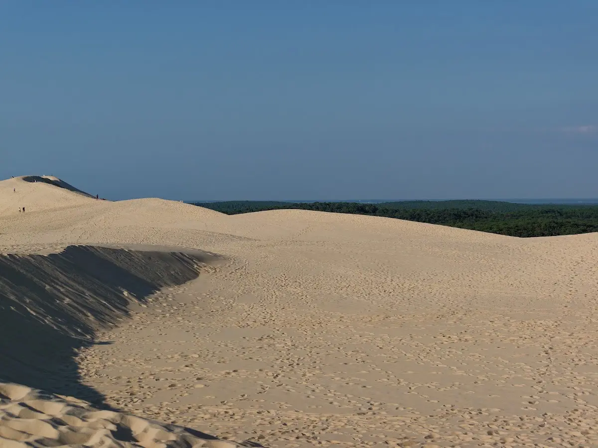 Düne bei Pyla – Foto 4