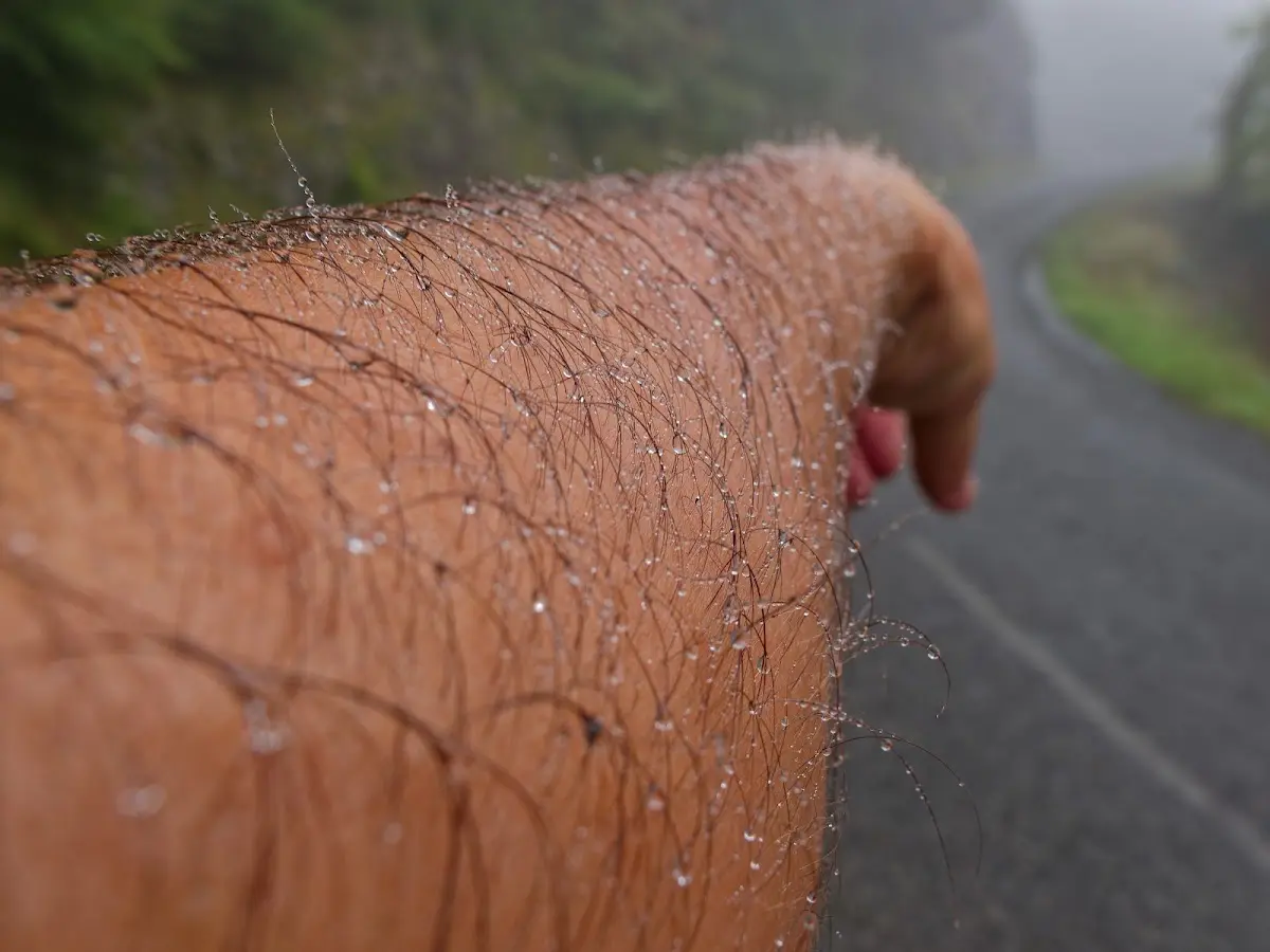Col d'Aubisque – Foto 4