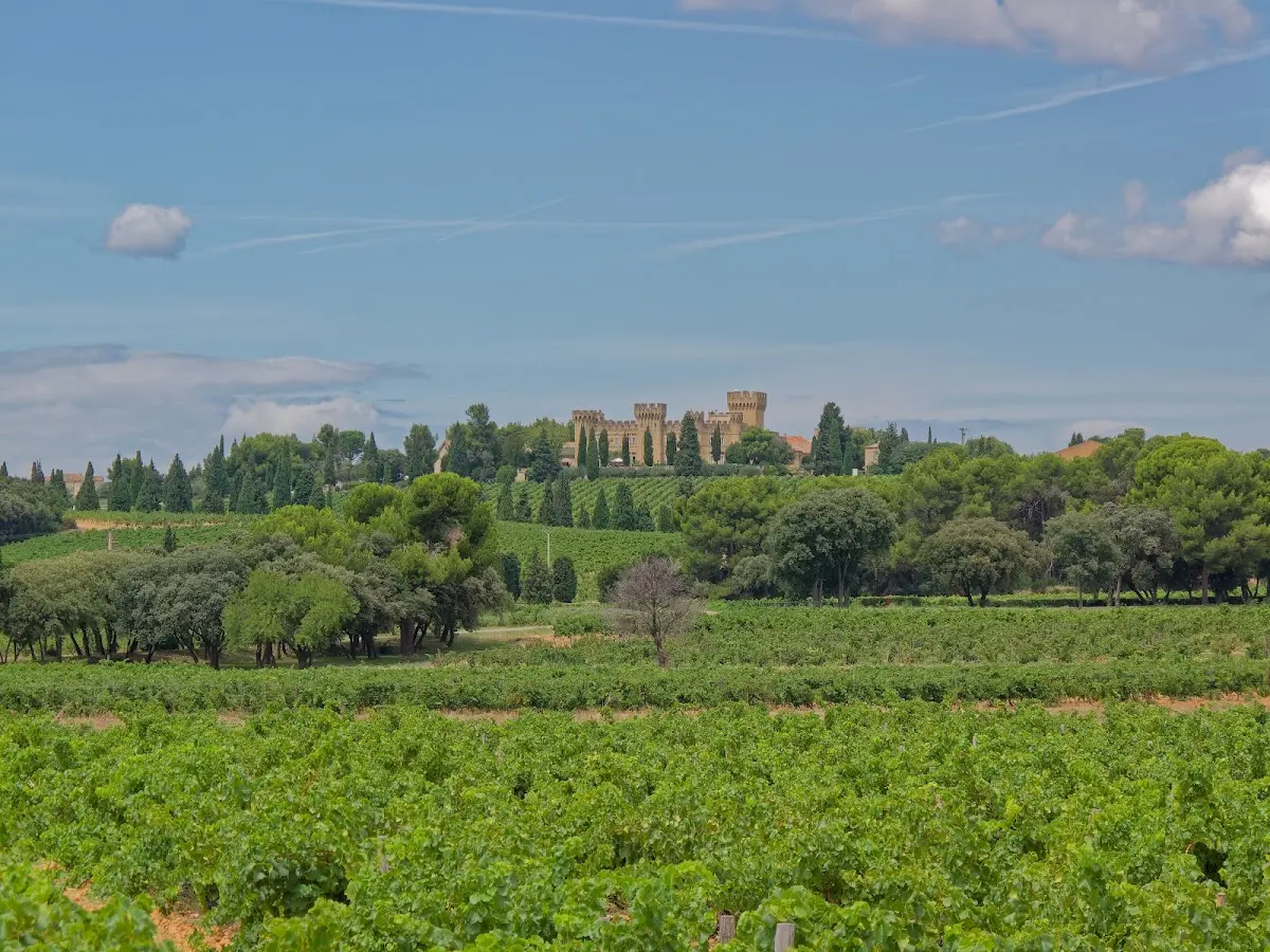 Avignon, Chateauneuf-du-Pape – Foto 7