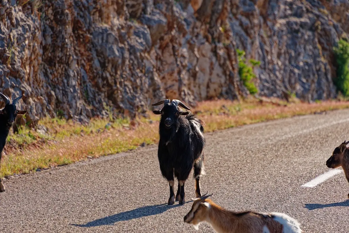 Gorges de l’Ardèche – Foto 8
