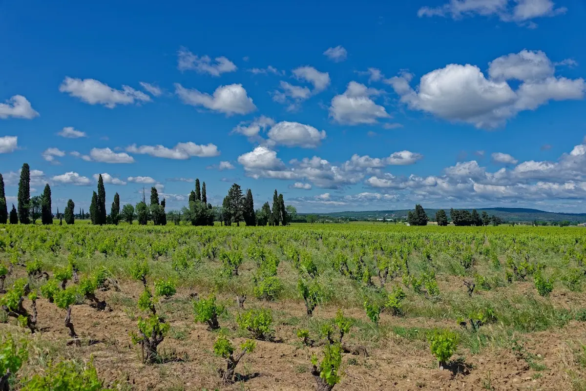 Mont Ventoux – Foto 1