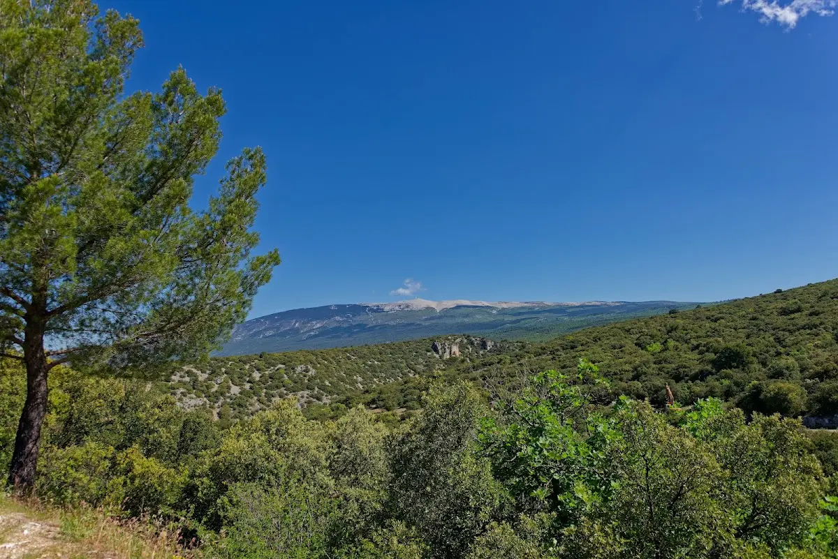 Gorges de la Nesque – Foto 1