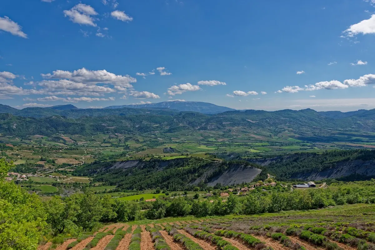 Gorges de la Nesque – Foto 8