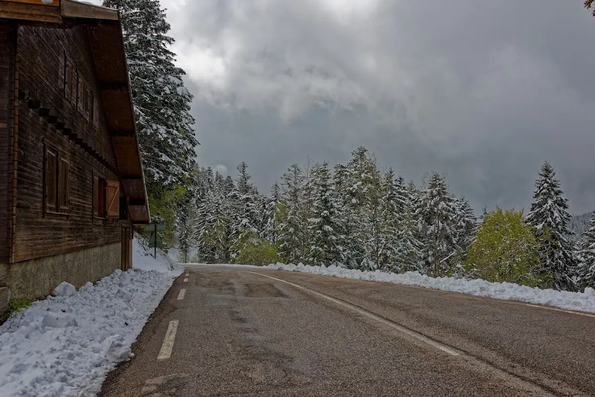 Chartreuse – Foto 1