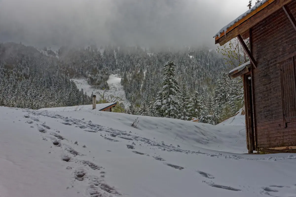 Chartreuse – Foto 2