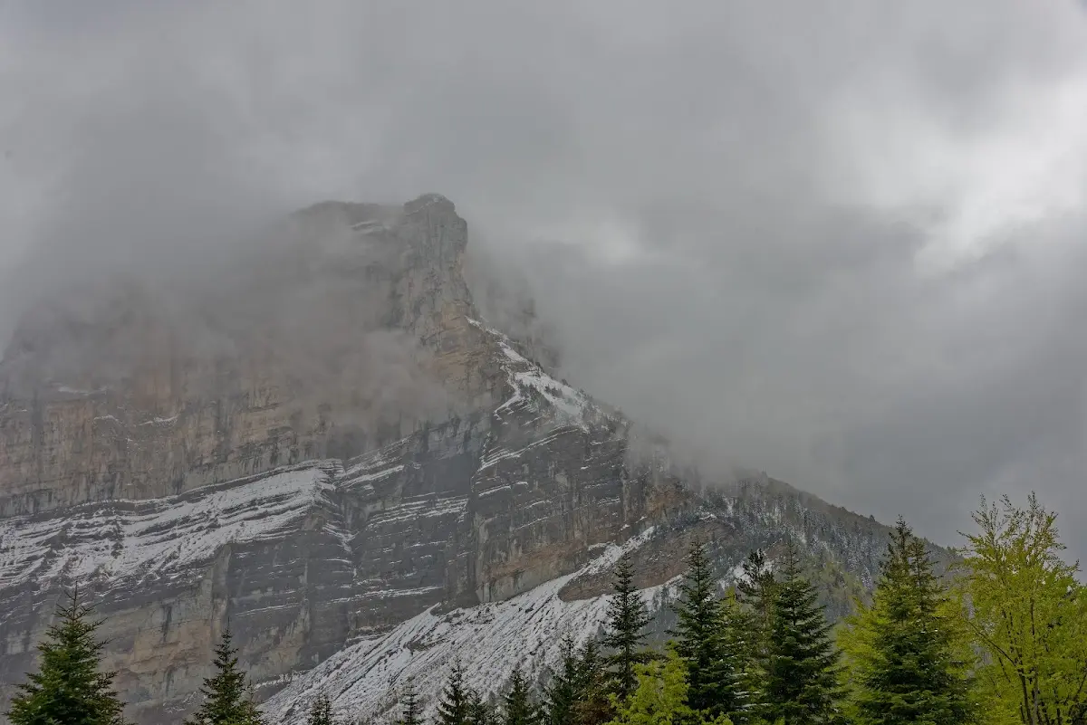 Chartreuse – Foto 4