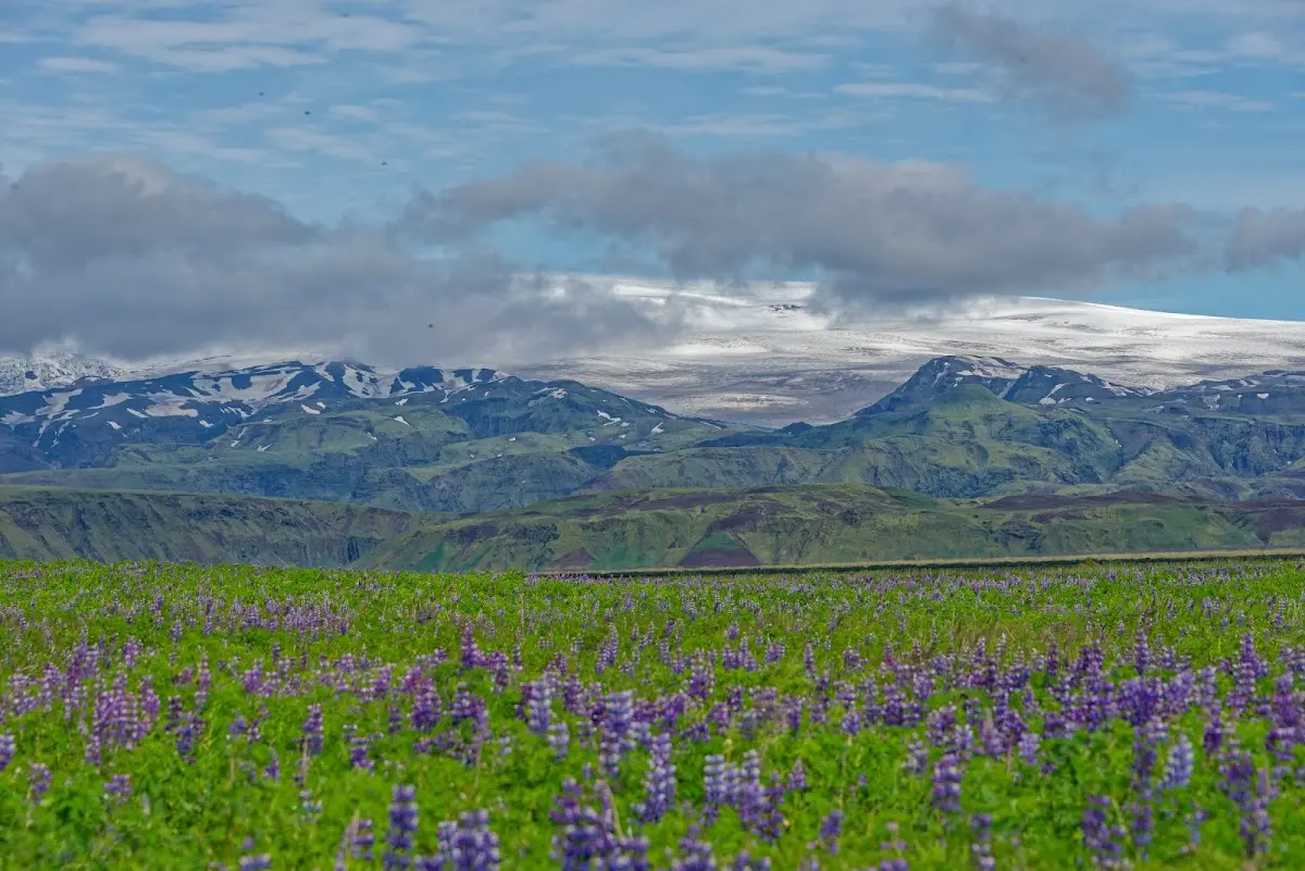 Mýrdalssandur und weitere Sanderflächen – Foto 3