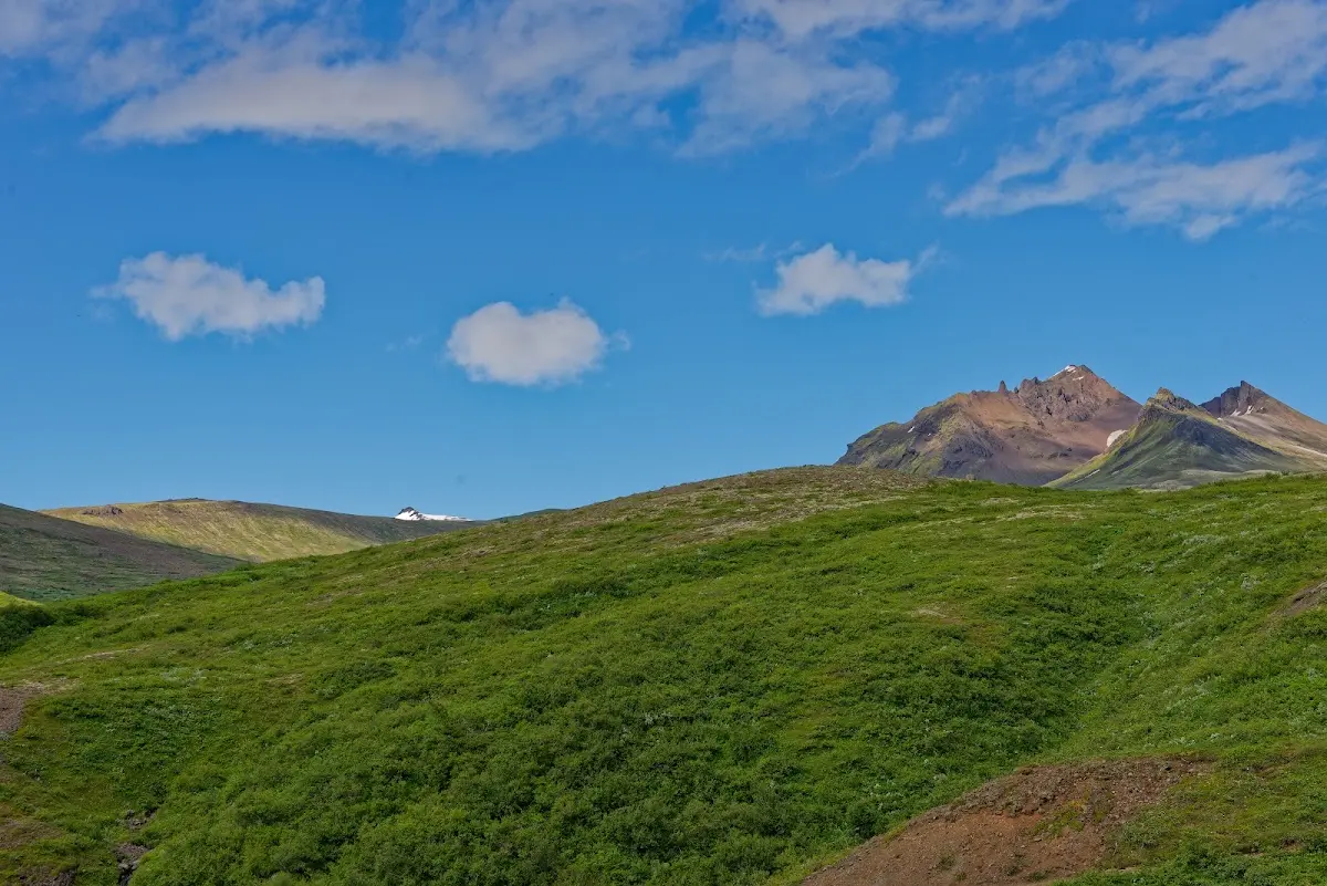 Skaftafell und Svartifoss – Foto 2