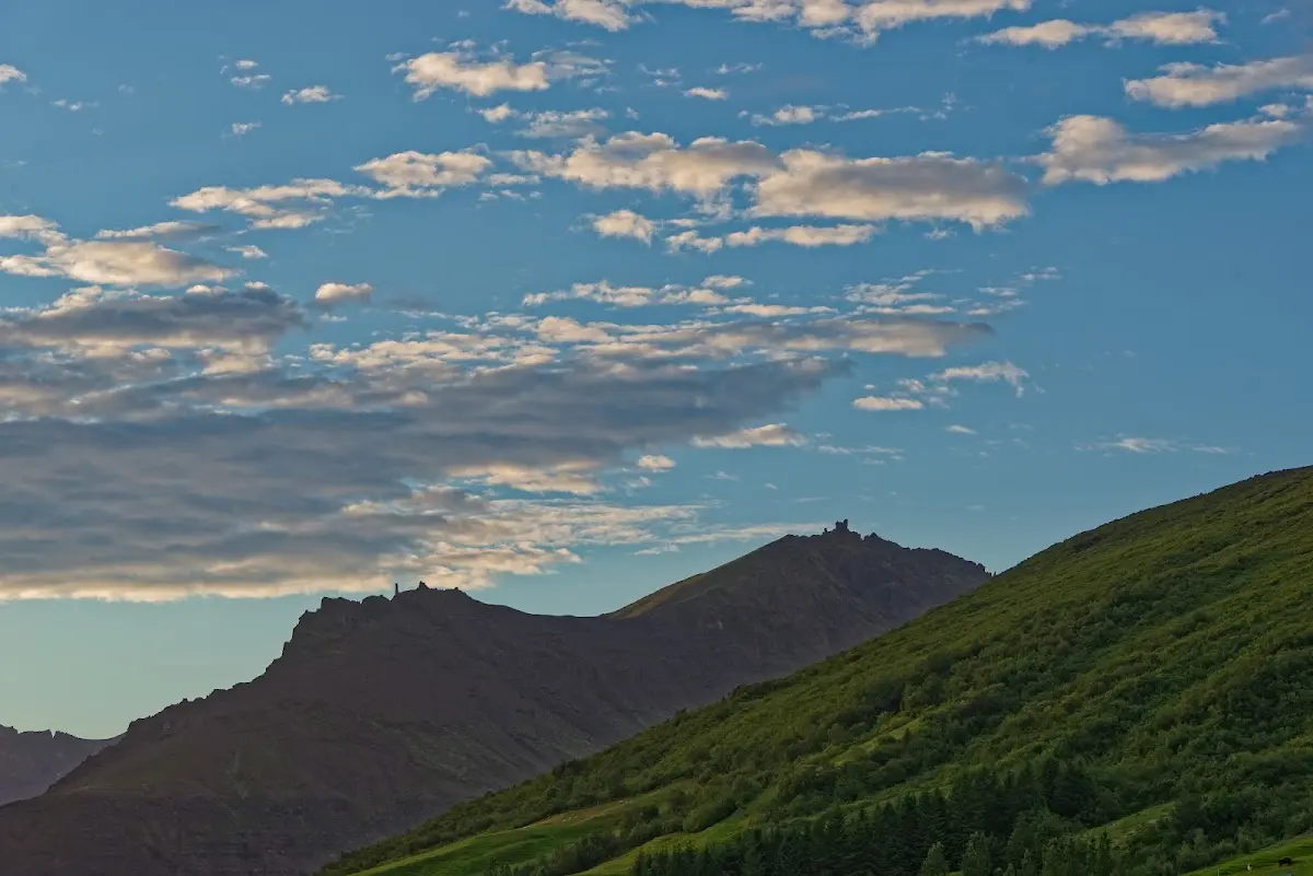 Skaftafell und Svartifoss – Foto 6