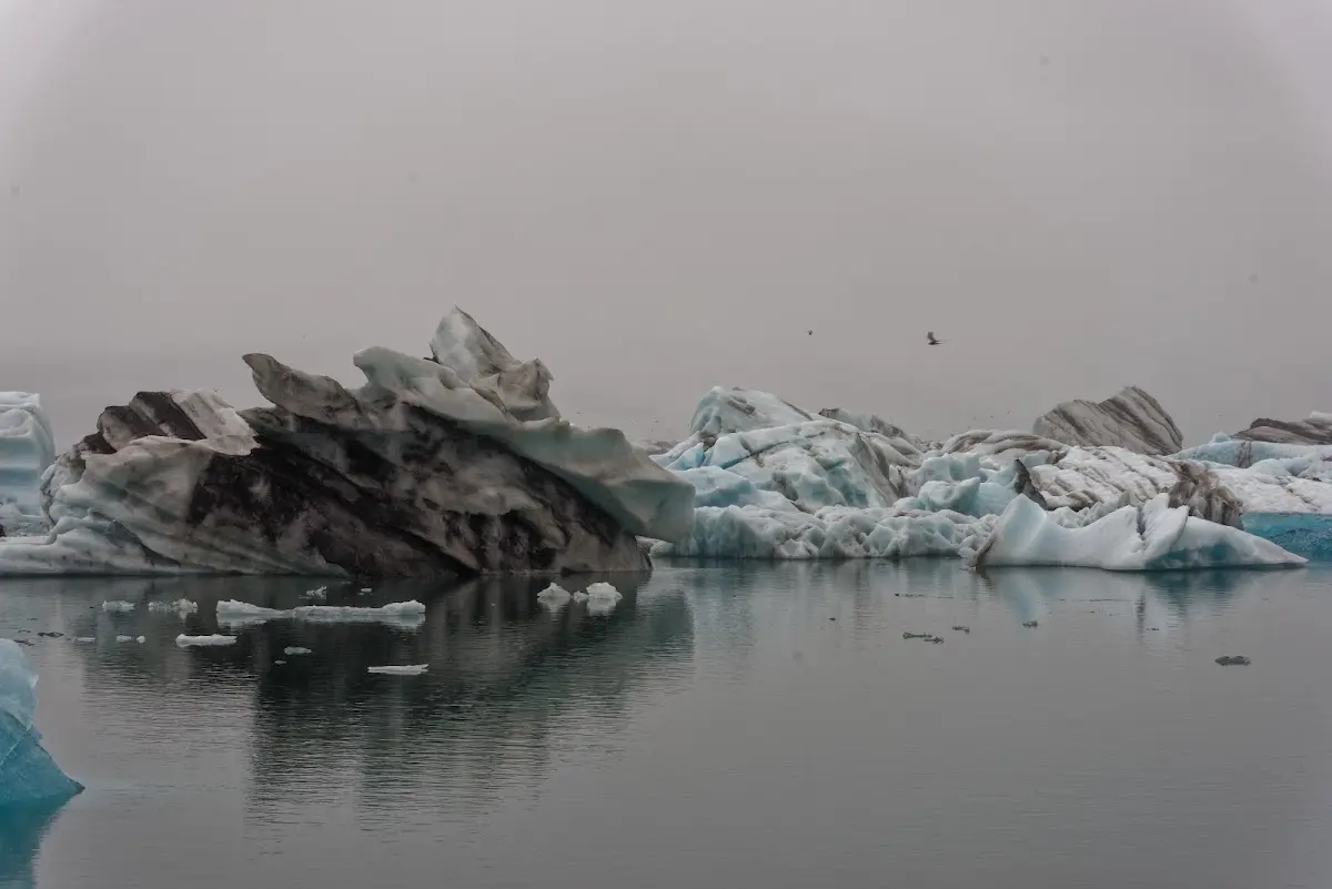 Jökulsárlón – Foto 3