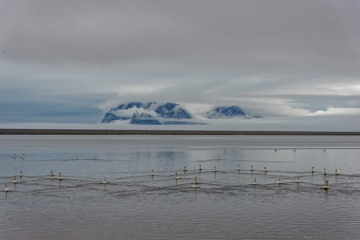 Jökulsárlón – Foto 6