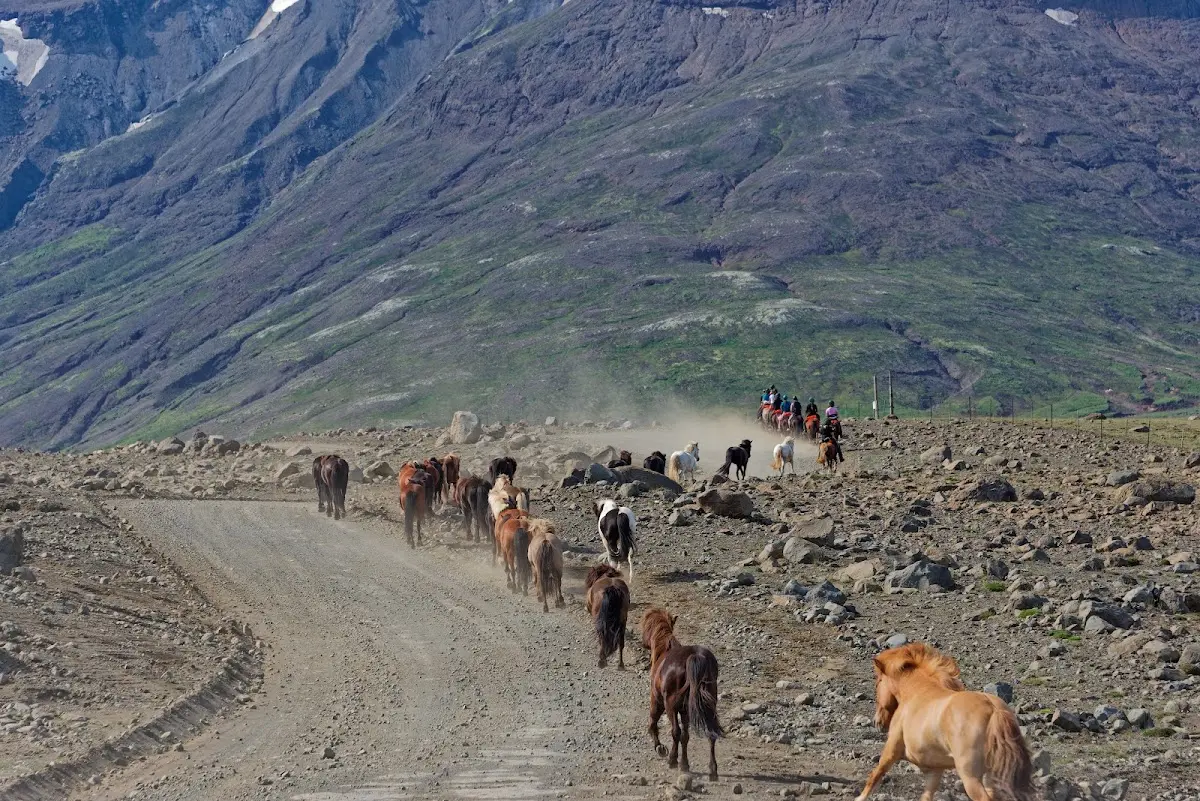 Kerlingarfjöll – Foto 5