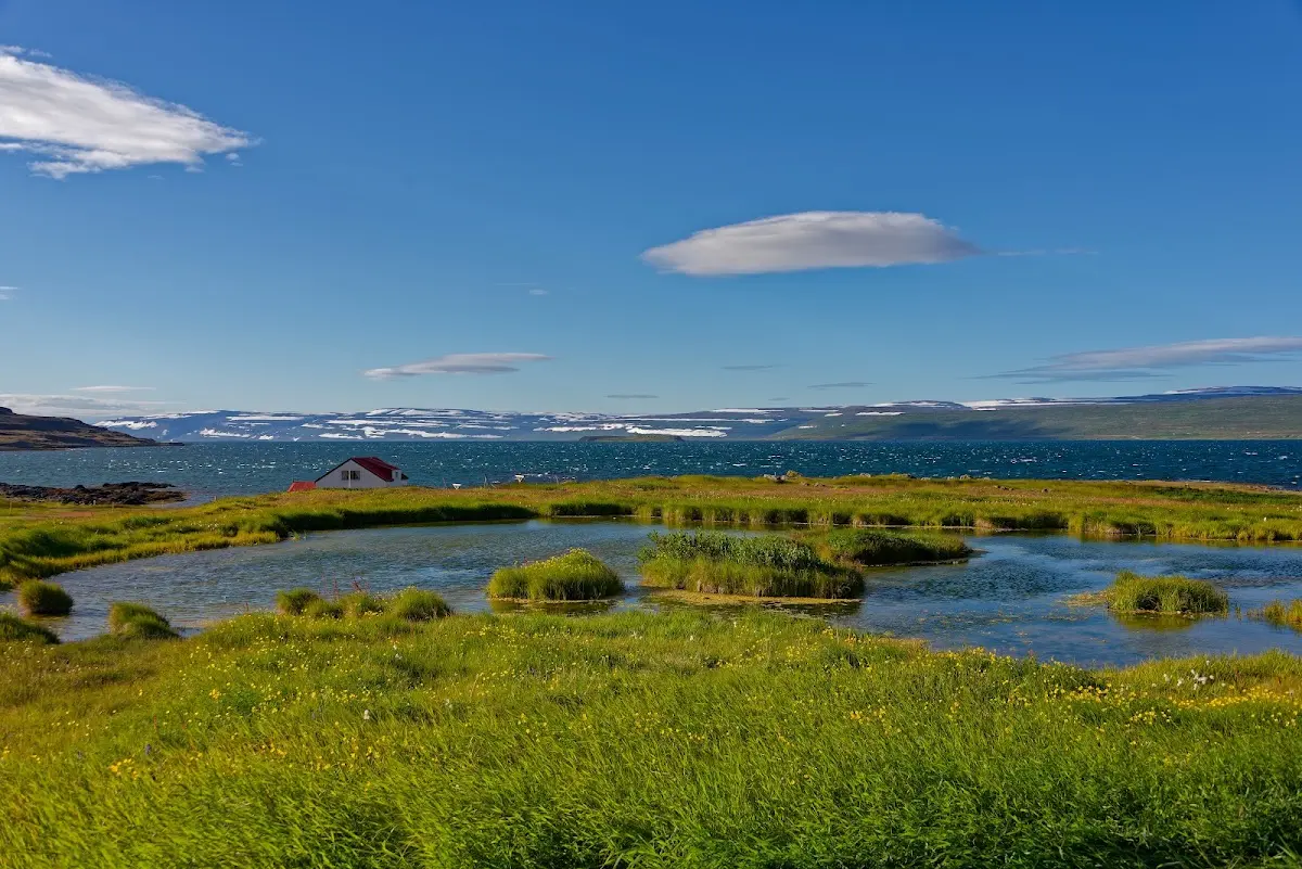 Westfjorde – Foto 14