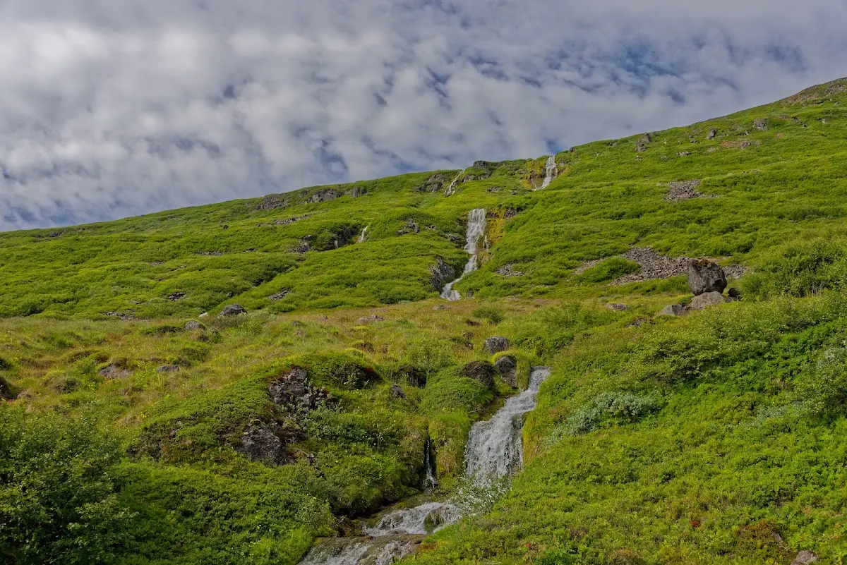 Westfjorde – Foto 40