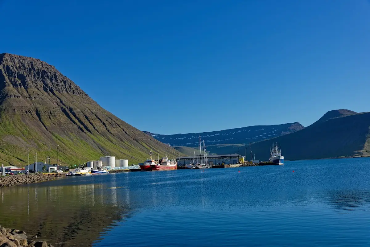Westfjorde – Foto 44