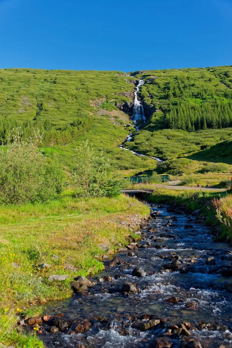 Westfjorde – Foto 49
