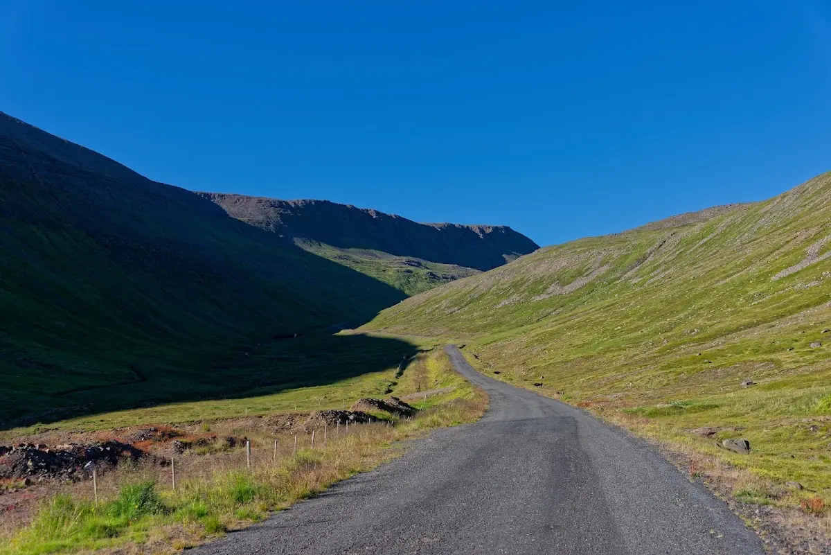Westfjorde – Foto 50