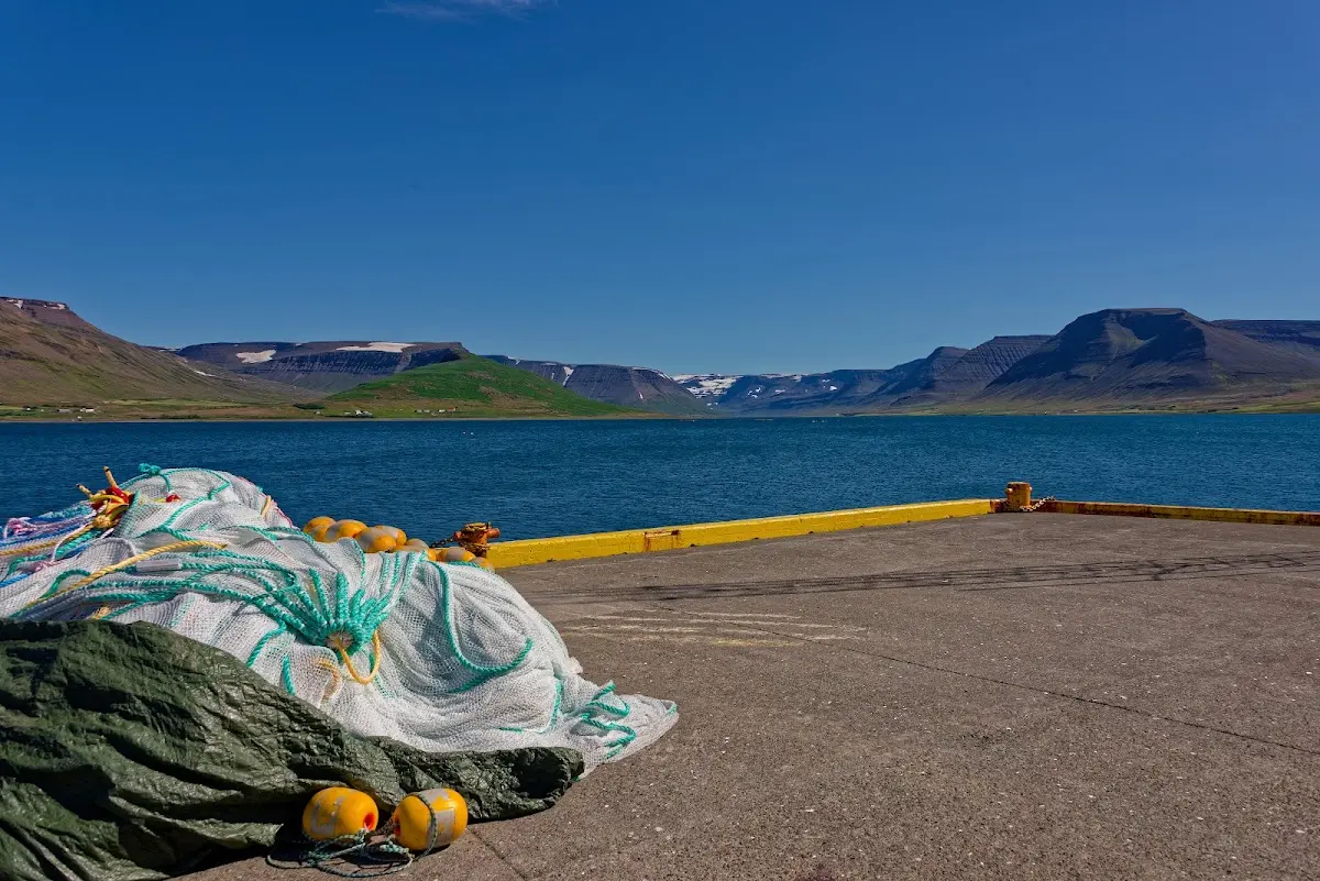 Westfjorde – Foto 64